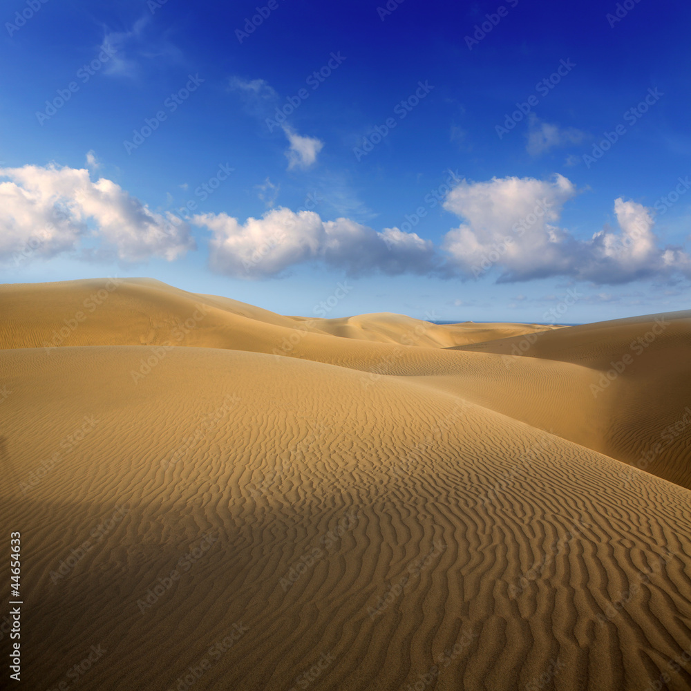 Desert sand dunes in Maspalomas Gran Canaria