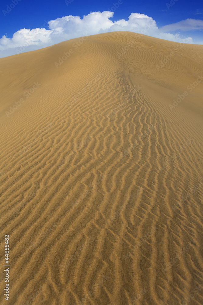 Desert sand dunes in Maspalomas Gran Canaria Desert sand dunes in Maspalomas Gran Canaria
