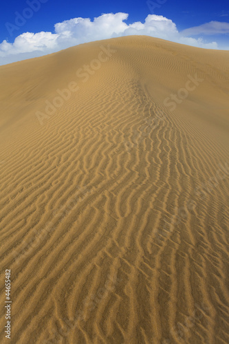 Desert sand dunes in Maspalomas Gran Canaria