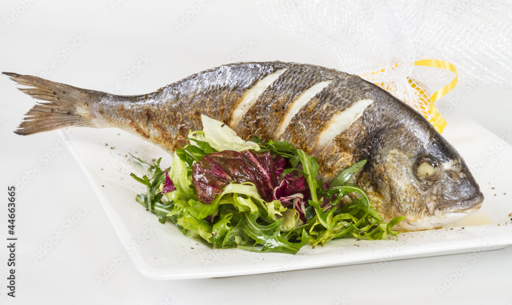 Dorada fish with salad on the white plate. Studio shot Dorada fish with salad on the white plate. Studio shot