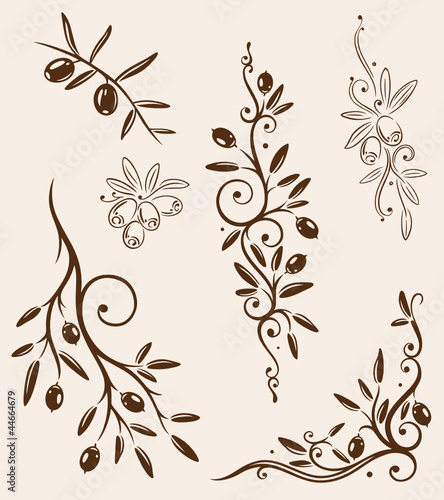 Oliven, Olivenzweige, Zweig, Küche, kochen, vector set
