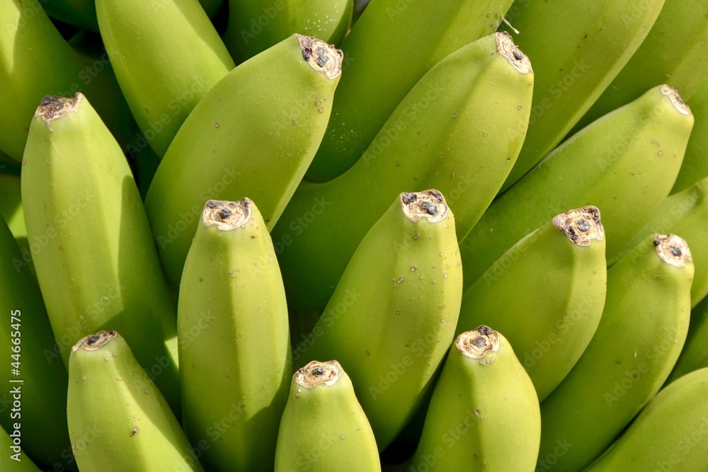 Bananen Bananen