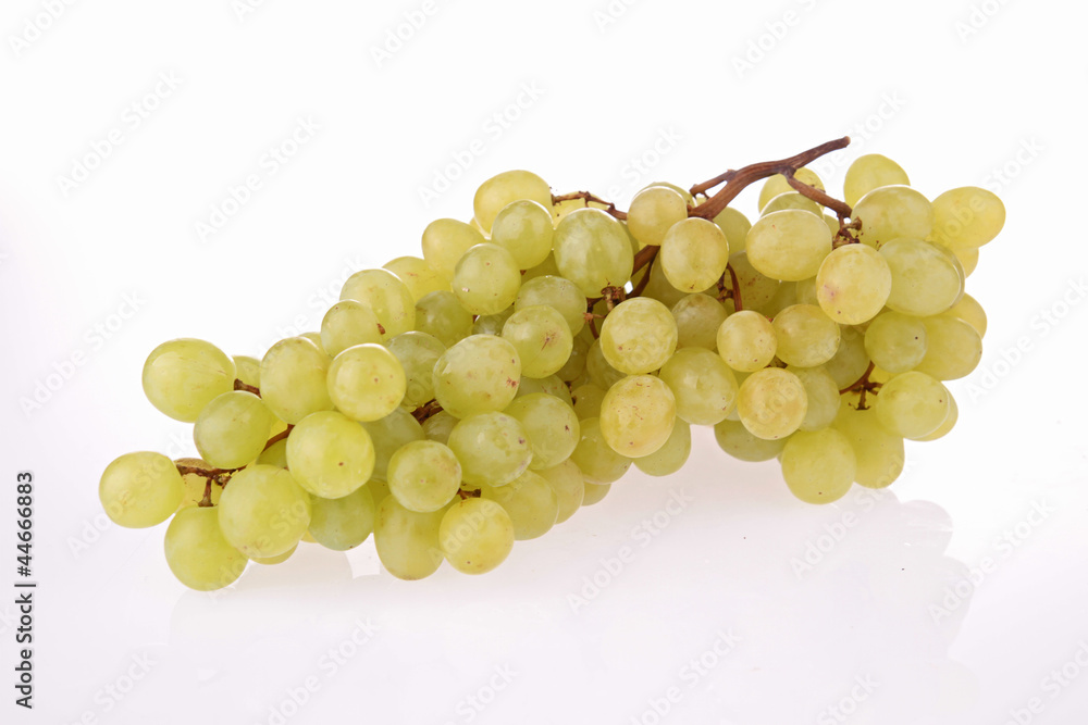 grape isolated