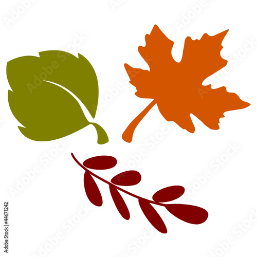 Herbst Blätter