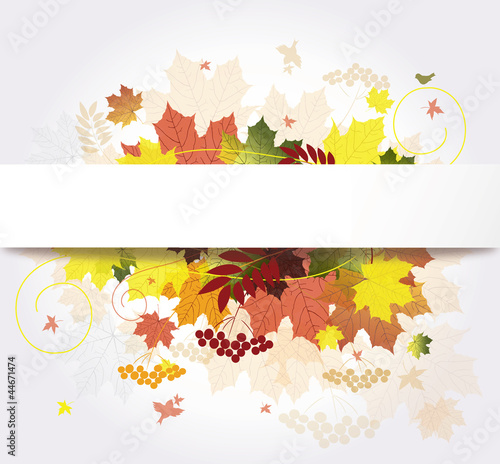 autumn floral background