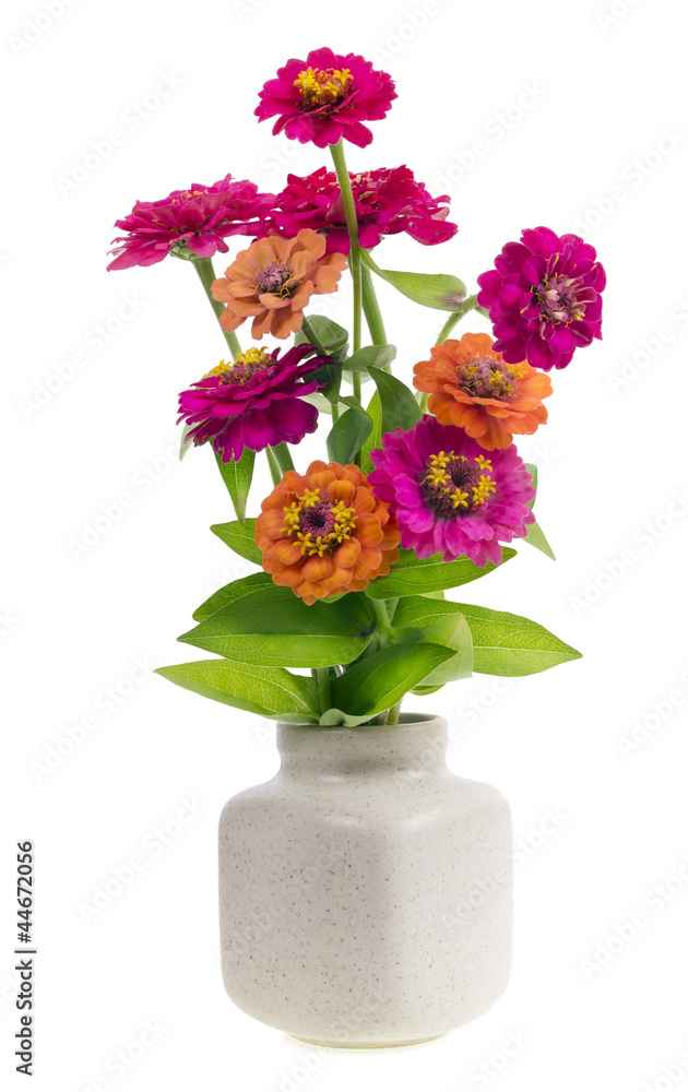 Obraz premium minimalistic bouquet - mini magenta flowers