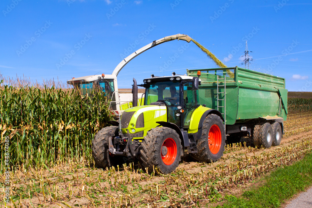 Naklejka premium Maisernte