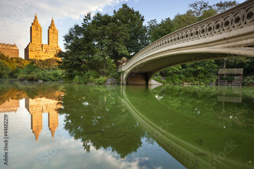 Bow Bridge in Central Park.