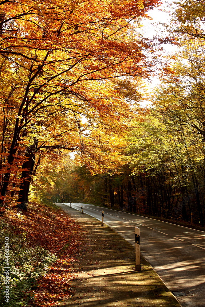 Eine Bundesstraße im Herbst