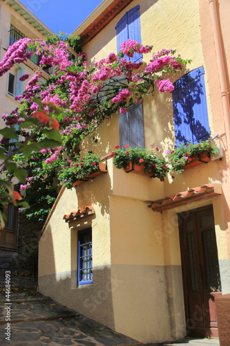 Fototapeta Naklejka Na Ścianę i Meble -  Collioure.