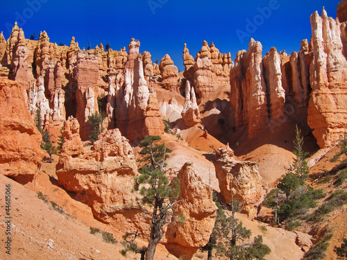 Bryce Canyon National Park HooDoos