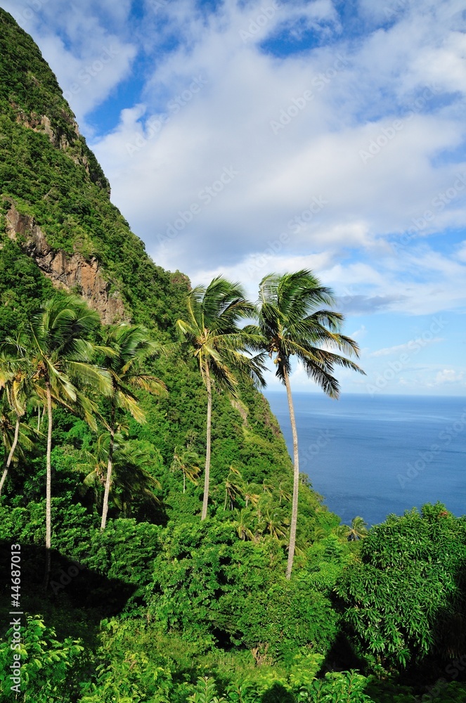 Palm Trees and Piton