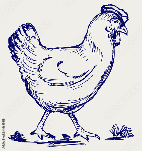Chicken. Doodle style
