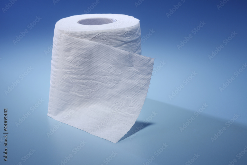 toilet paper toilet paper