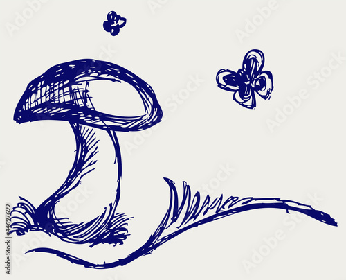 Illustration of Mushroom. Doodle style