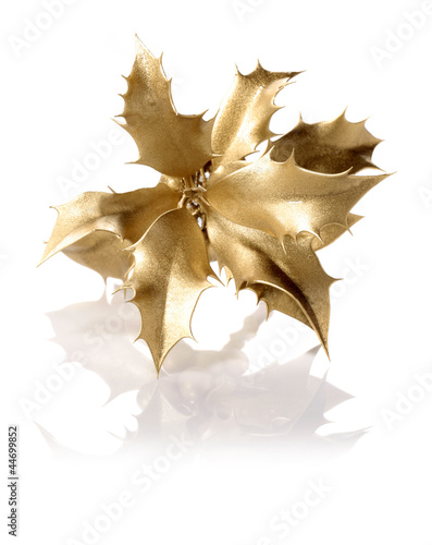 goldholly