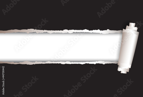 vector background torn paper
