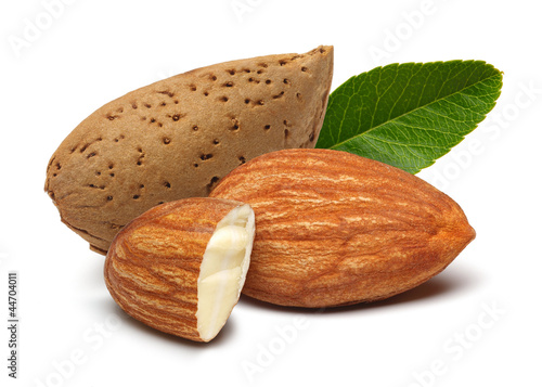 Almonds and leaves