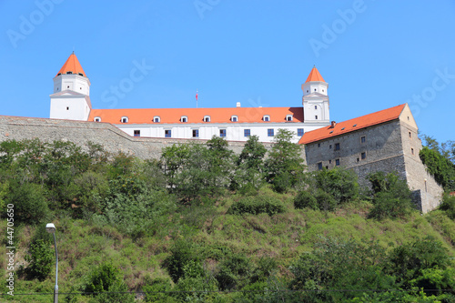 Canvas Print Bratislava Castle