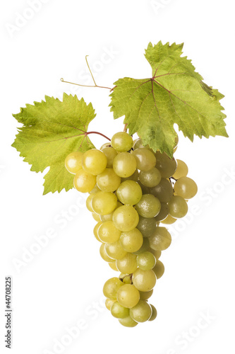bunch of grapes on white background