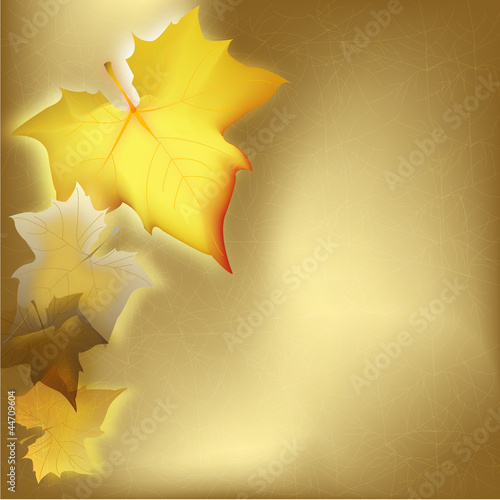 AUTUMN IN GOLD