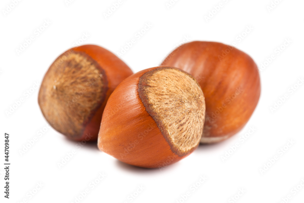 Three ripe hazelnuts Three ripe hazelnuts