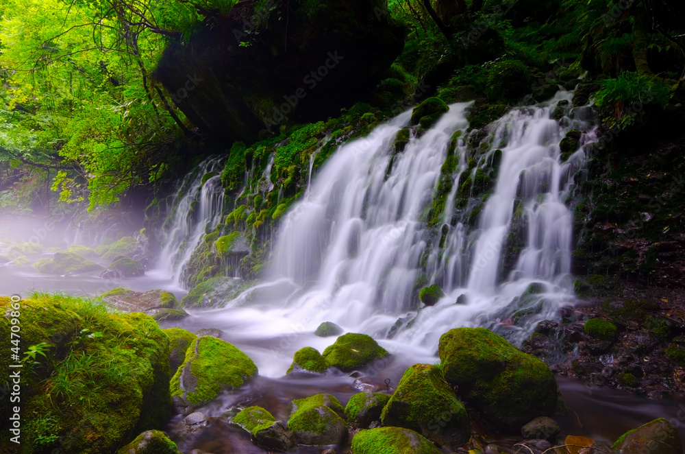 Fototapeta premium 元滝伏流水