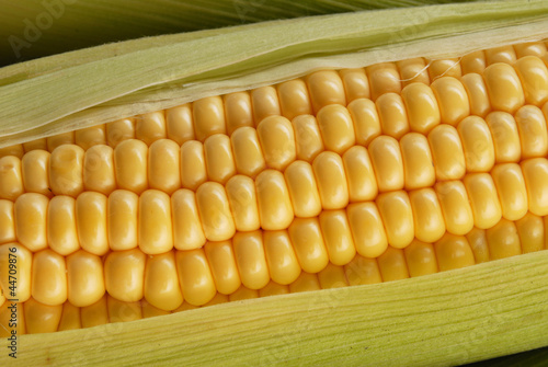 corn cob