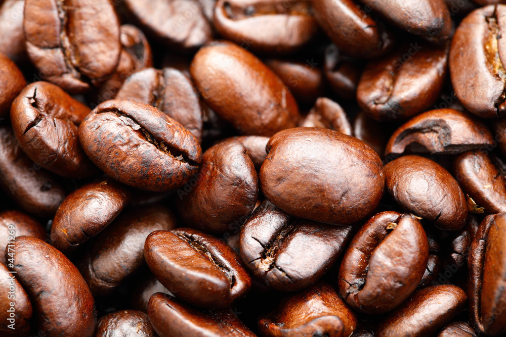 Obraz premium coffee bean