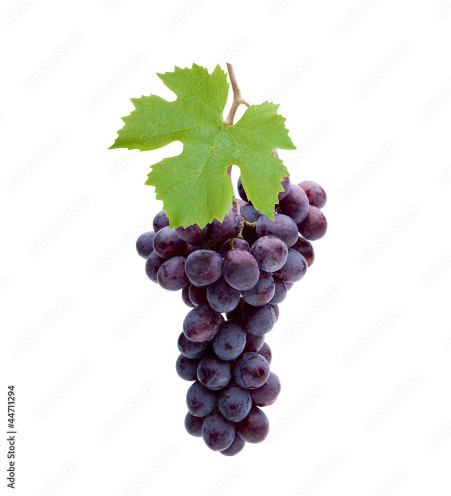 Obraz premium Rote Weintrauben