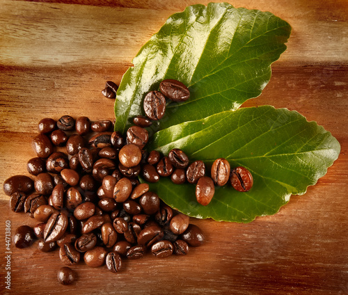 Fototapeta Chicchi di caffè con foglie
