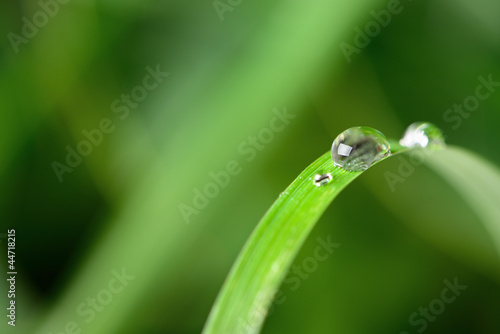 A drop of dew on a blade of grass