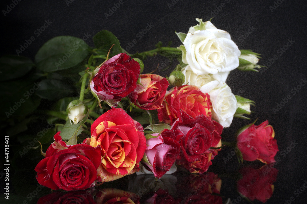 Obraz premium Bouquet of beautiful roses on black background close-up