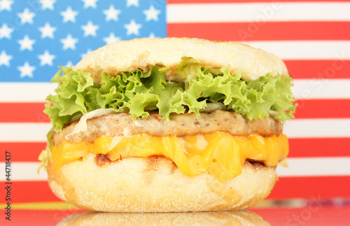 tasty sandwich, on american flag