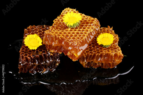 Honeycomb closeup on black background