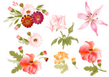 Color illustration of flowers in vector paintings
