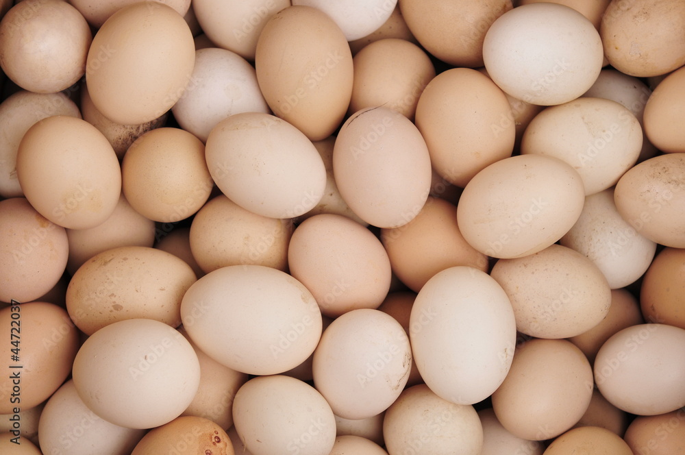 eggs eggs