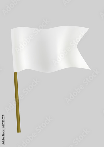 White small flag