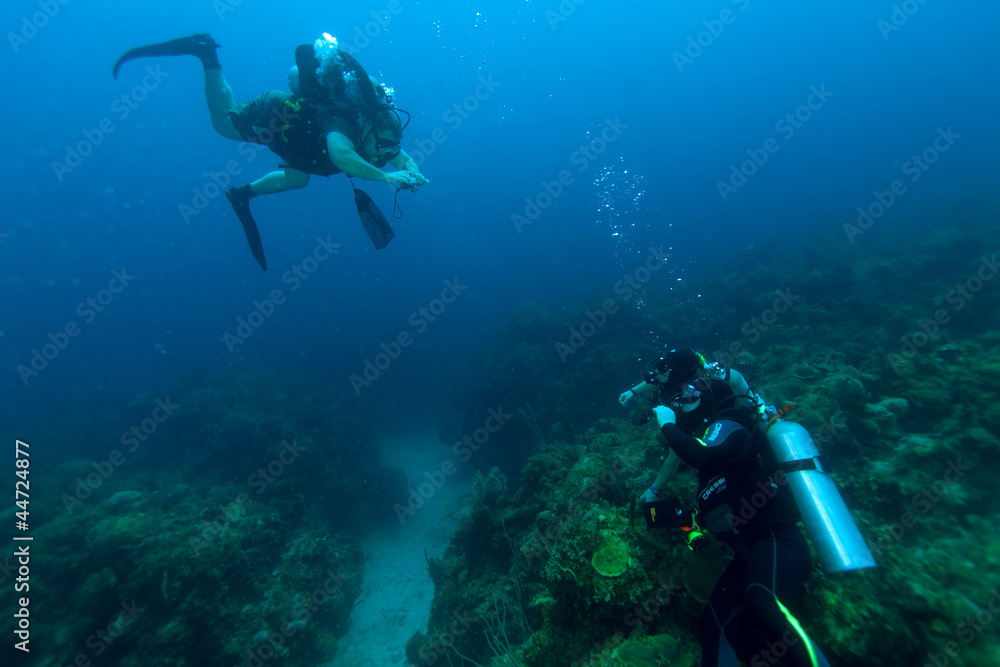 Underwater photo session, Cuba