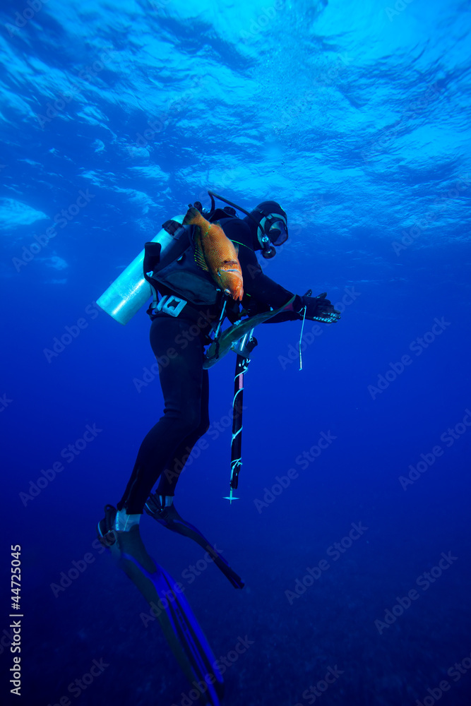 Spear fisherman with speargun Spear fisherman with speargun