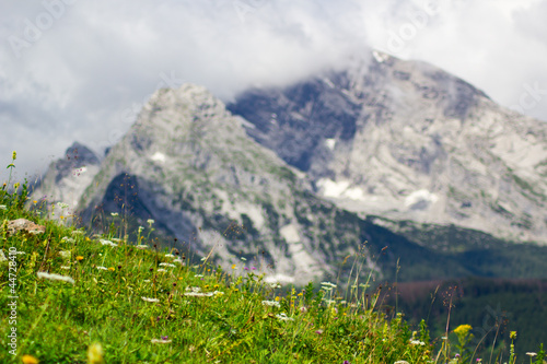 Wallpaper Mural Im Gebirge Torontodigital.ca