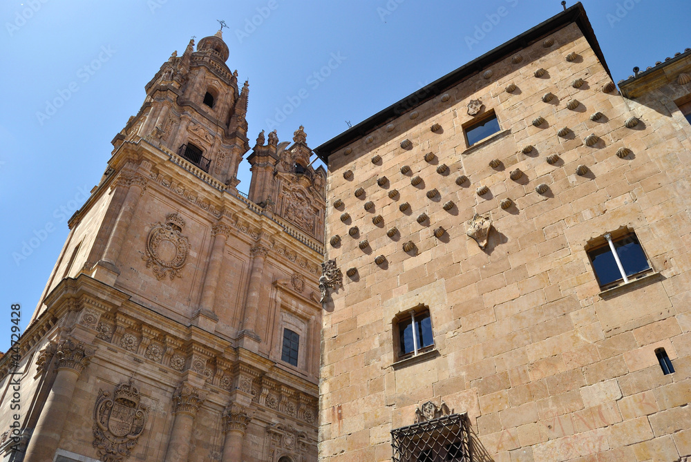 Patrimony of Salamanca