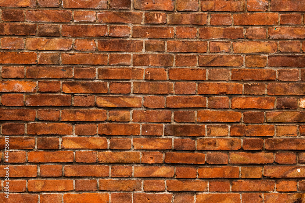 Fototapeta premium Ceglana ściana