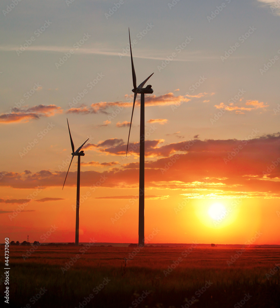 Obraz premium Wind turbines over the sunset