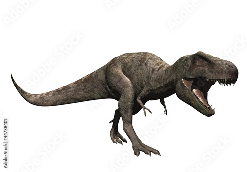Tyrannosaure gueule ouverte