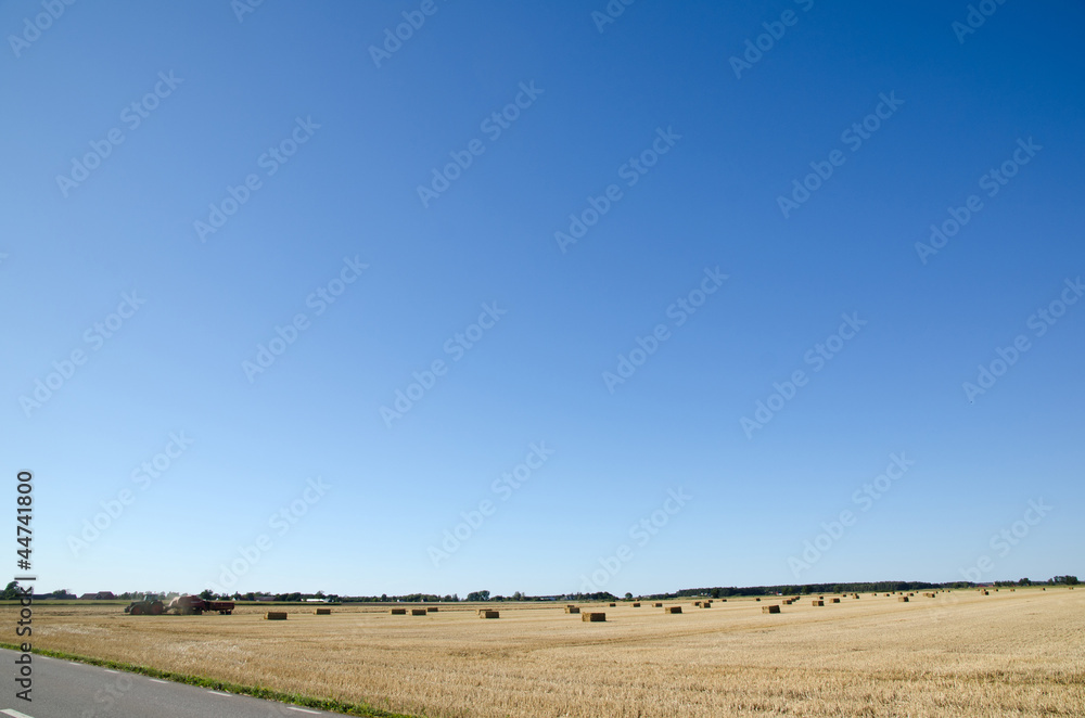 Fototapeta premium Harvesting with tractor in a field with straw bales