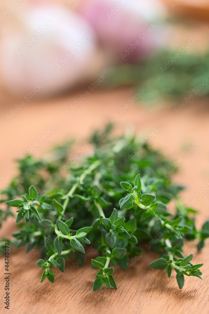 Bundle of fresh thyme with garlic in the back Bundle of fresh thyme with garlic in the back