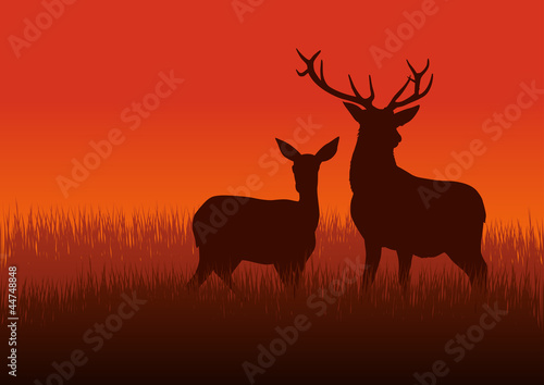 Canvas Print Silhouette illustration of a deer and doe on meadow