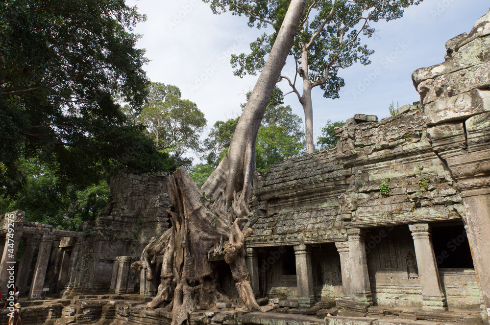 Angkor Wat , Cambodia