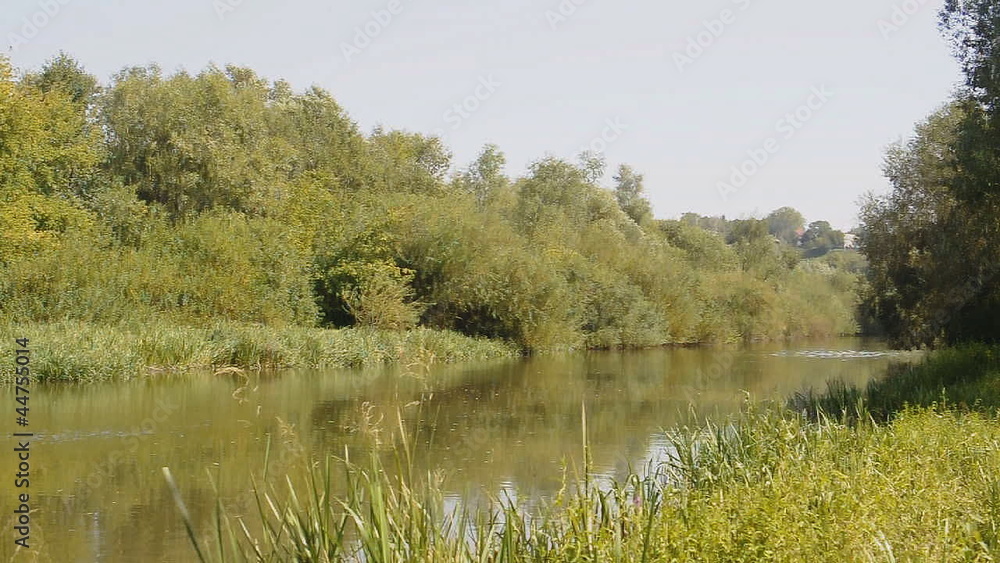 River flow along the banks with trees and grass River flow along the banks with trees and grass